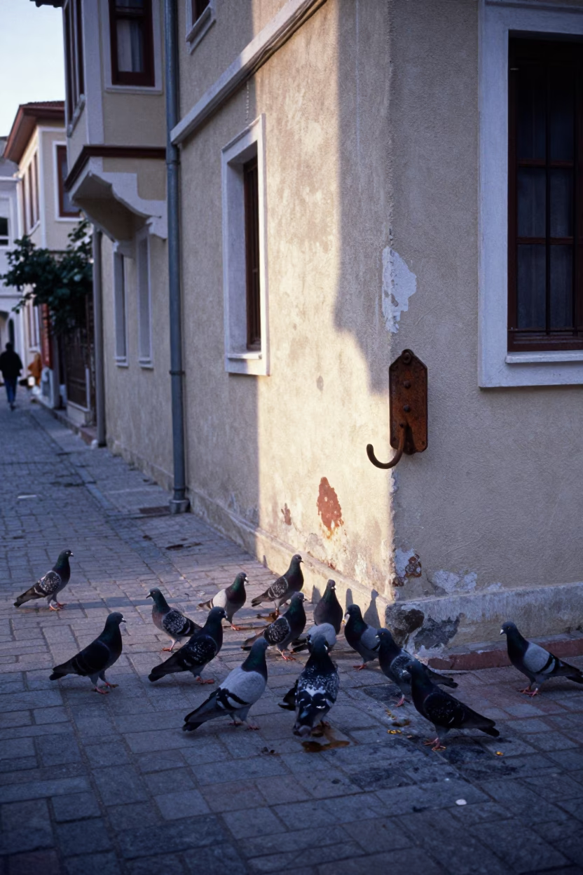 Pre-dawn Izmir street scene with pigeons and tea stains on hook plate in in Izmir, Turkey