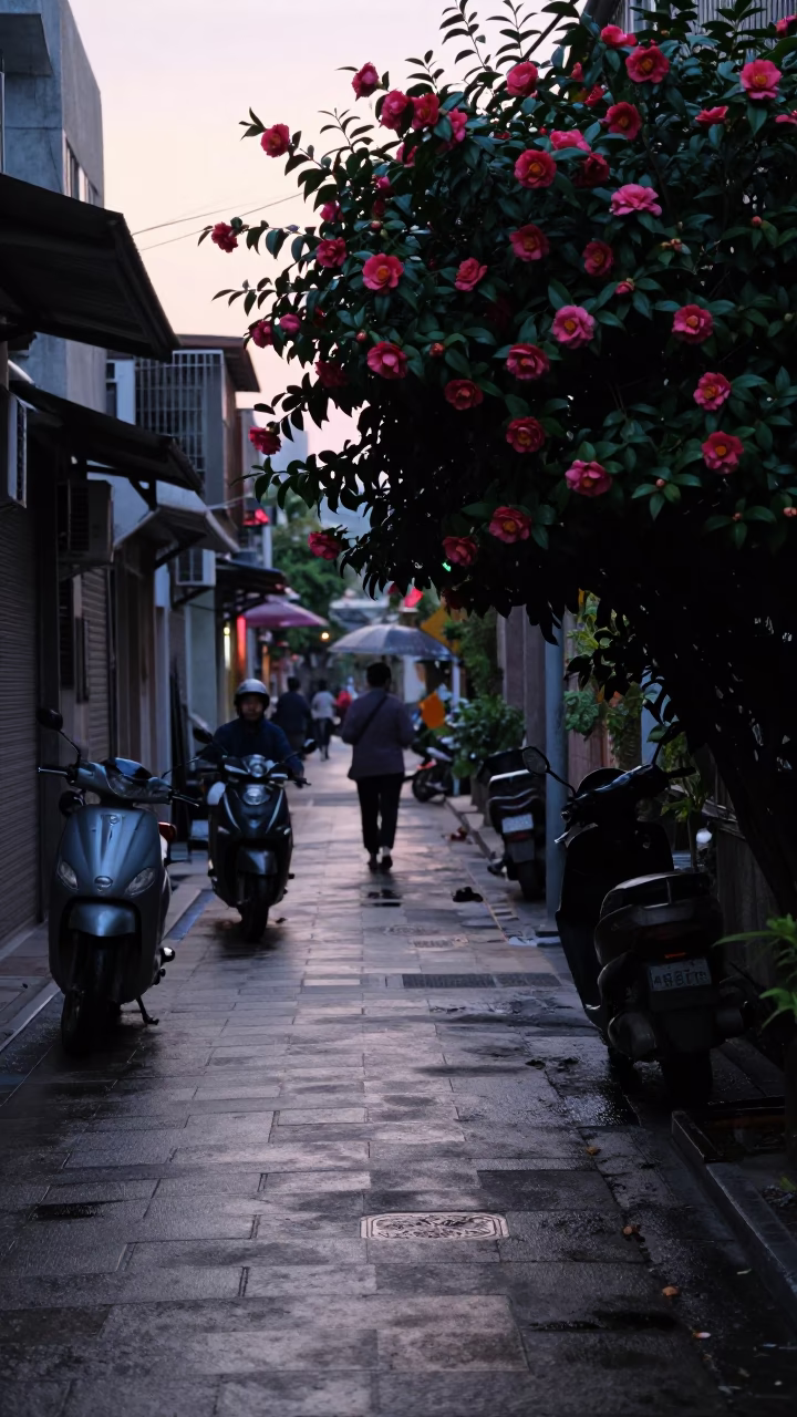 Pre-dawn Kaohsiung street scene with camellia bush and wet pavement reflections in in Kaohsiung, Taiwan