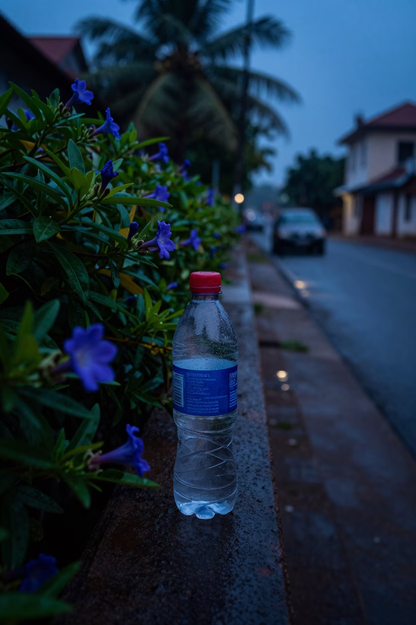 Pre-dawn Kochi street scene with plumbago hedge and canal water taxi in in Kochi, India