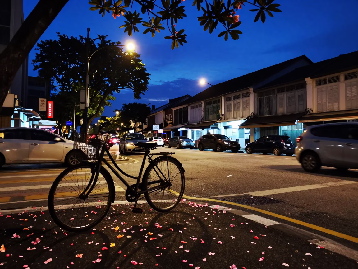 Pre-dawn Kuala Lumpur Street Scene with Bicycle and Plumeria Petals in in Kuala Lumpur, Malaysia