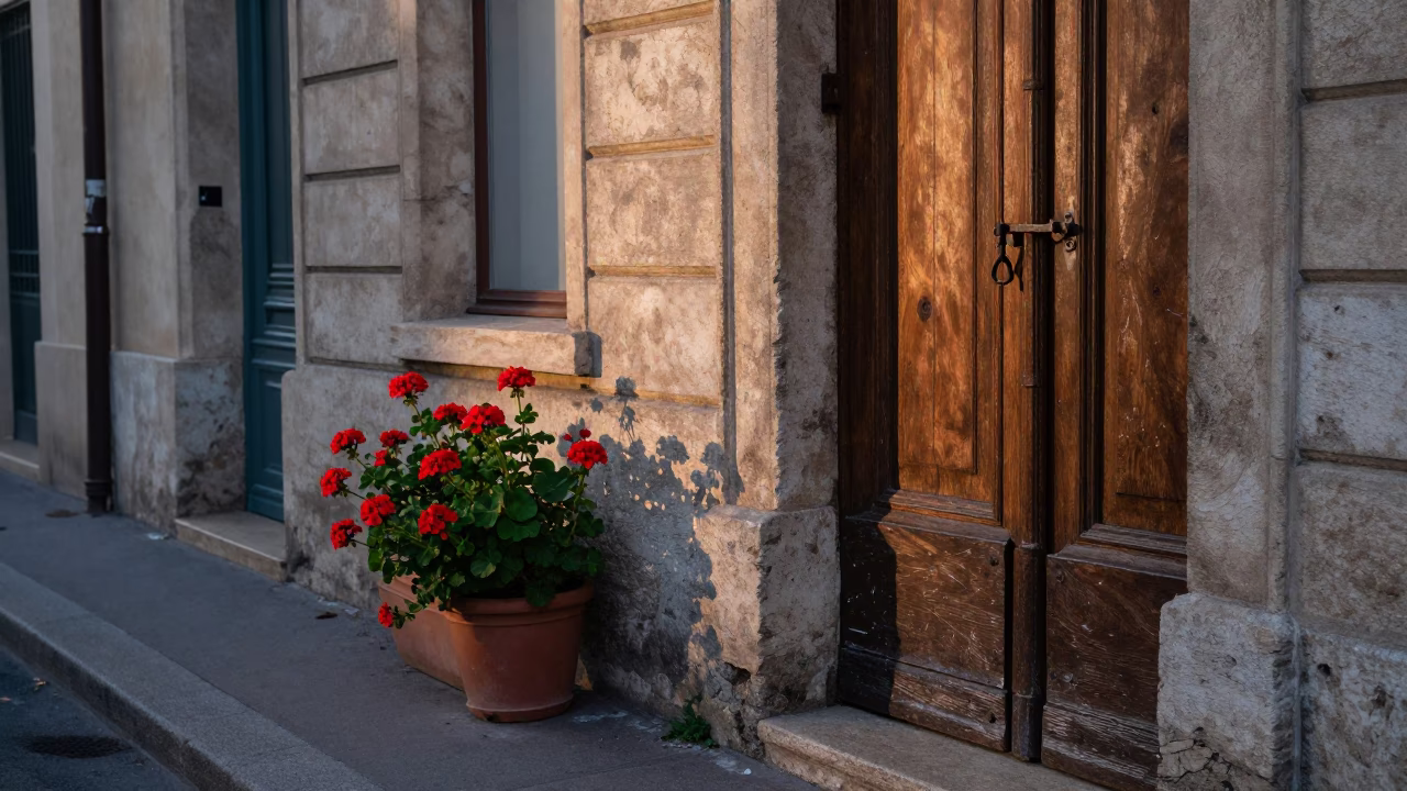 Pre-dawn Lyon street scene with geraniums and old iron latch in in Lyon, France
