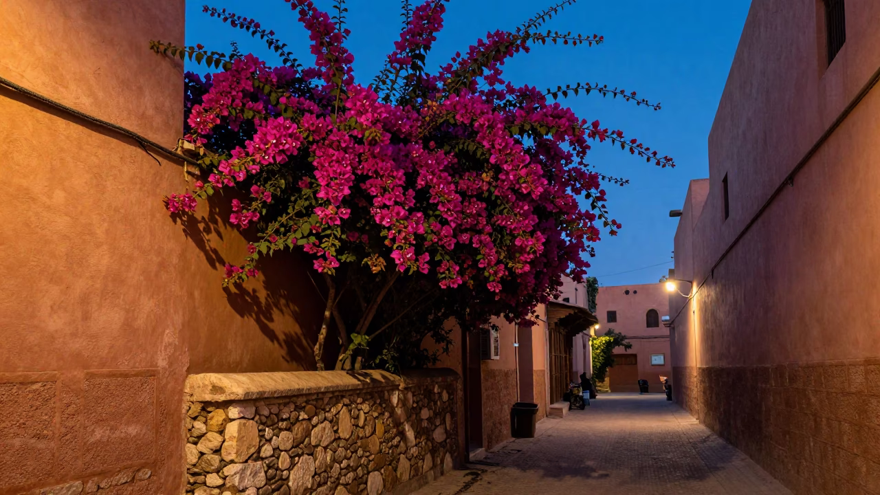 Pre-dawn Marrakech Street Scene with Bougainvillea and Vintage 1970s Aesthetic in in Marrakech, Morocco
