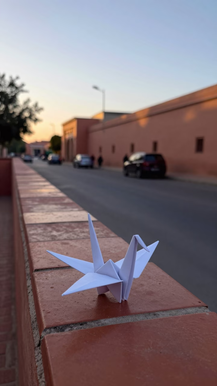 Pre-dawn Marrakech street scene with origami crane on tiled rooftop overlooking Medina in in Marrakech, Morocco