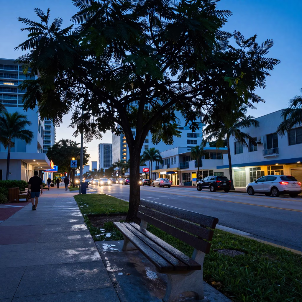 Pre-dawn Miami Street Scene with Condensation on Bench and Tamarind Tree in in Miami, Florida, United States