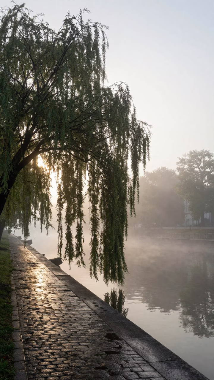 Pre-dawn Mist in Vienna at Sunrise Light in in Vienna, Austria