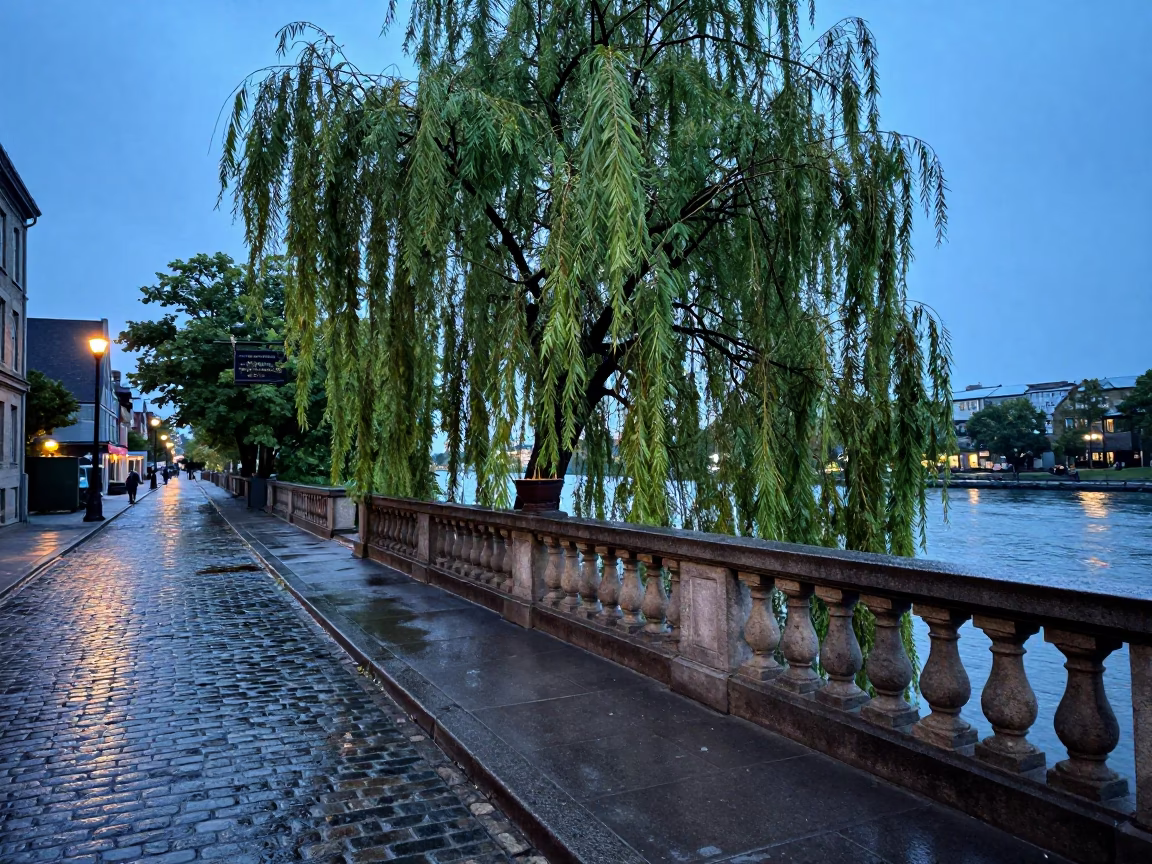 Pre-dawn Montreal Street Scene with Weeping Willow and Incense Holder in in Montreal, Quebec, Canada