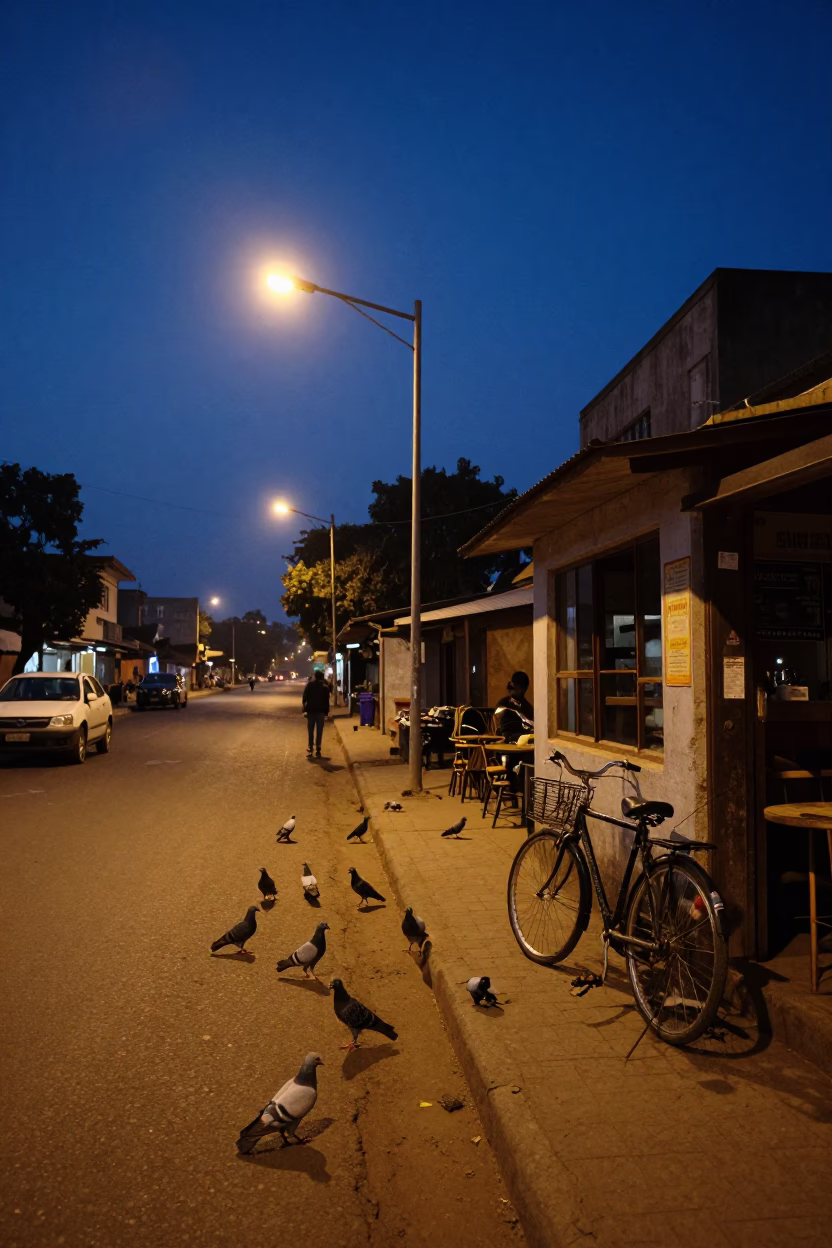 Pre-dawn Nairobi street scene with pigeons and bicycle near cafe in in Nairobi, Kenya