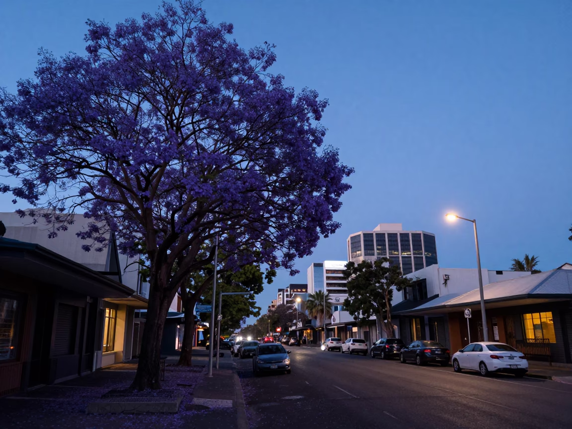 Pre-dawn Perth street scene with jacaranda tree and urban elements in Western Australia in in Perth, Western Australia, Australia