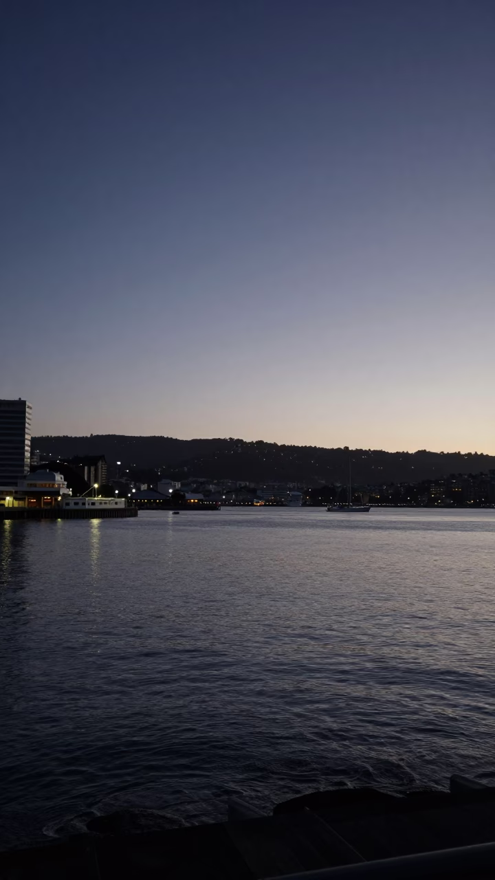 Pre-dawn quiet on Wellington waterfront with harbor lights and empty benches in in Wellington, New Zealand