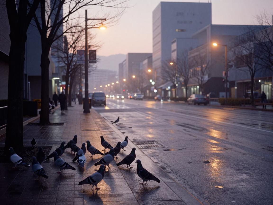 Pre-dawn Sapporo street scene with pigeons and misty urban architecture in in Sapporo, Japan