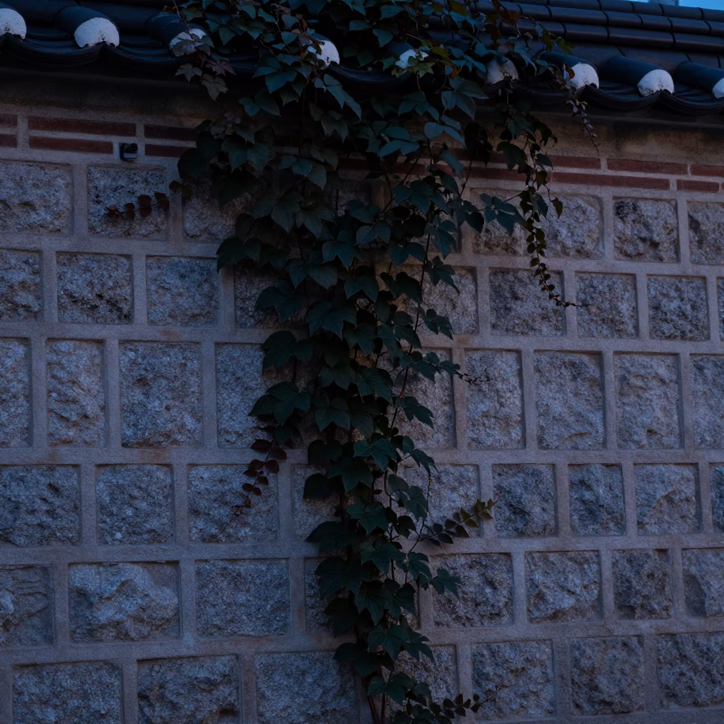 Pre-dawn Seoul Street Scene with Stone Wall Vine and Padlock Detail in in Seoul, South Korea