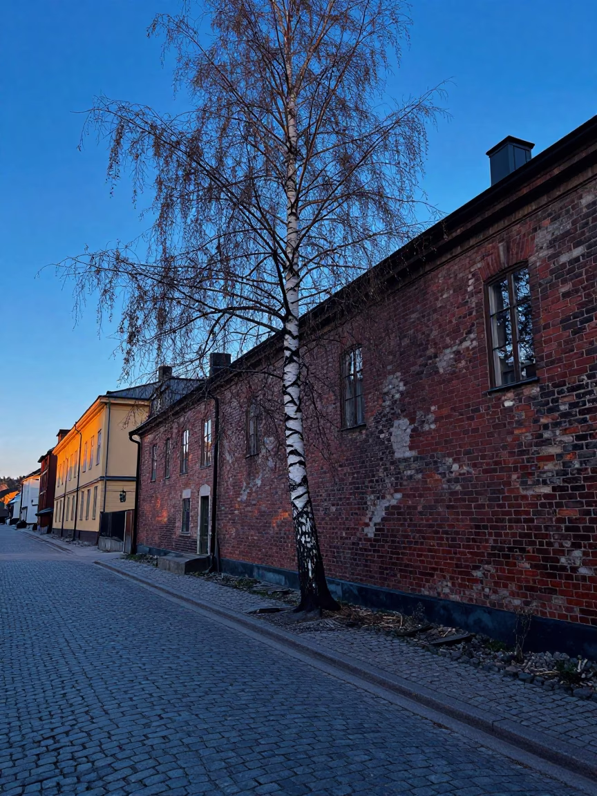 Pre-dawn Stockholm Street Scene with White Birch and Vintage Bread Board in in Stockholm, Sweden