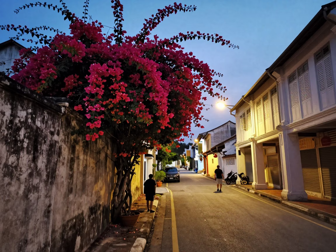 Pre-Dawn Street Scene in George Town Malaysia with Bougainvillea and Shuttered Shops in in George Town, Malaysia