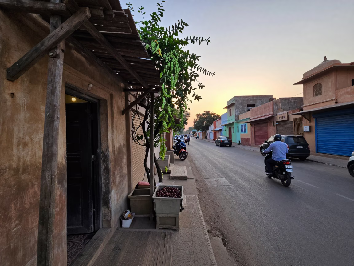 Pre-Dawn Street Scene in Jaipur India with Sweet Pea and Dates in in Jaipur, India