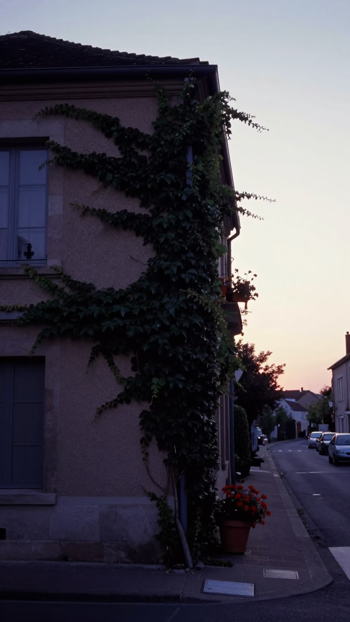 Pre-dawn street scene in Nice France with ivy vines and flowerpot in in Nice, France