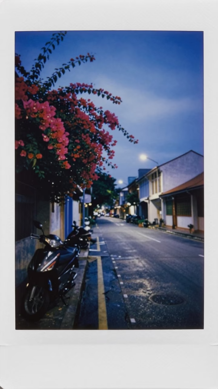 Pre-dawn street scene in Singapore with bougainvillea and motorbike in in Singapore, Singapore