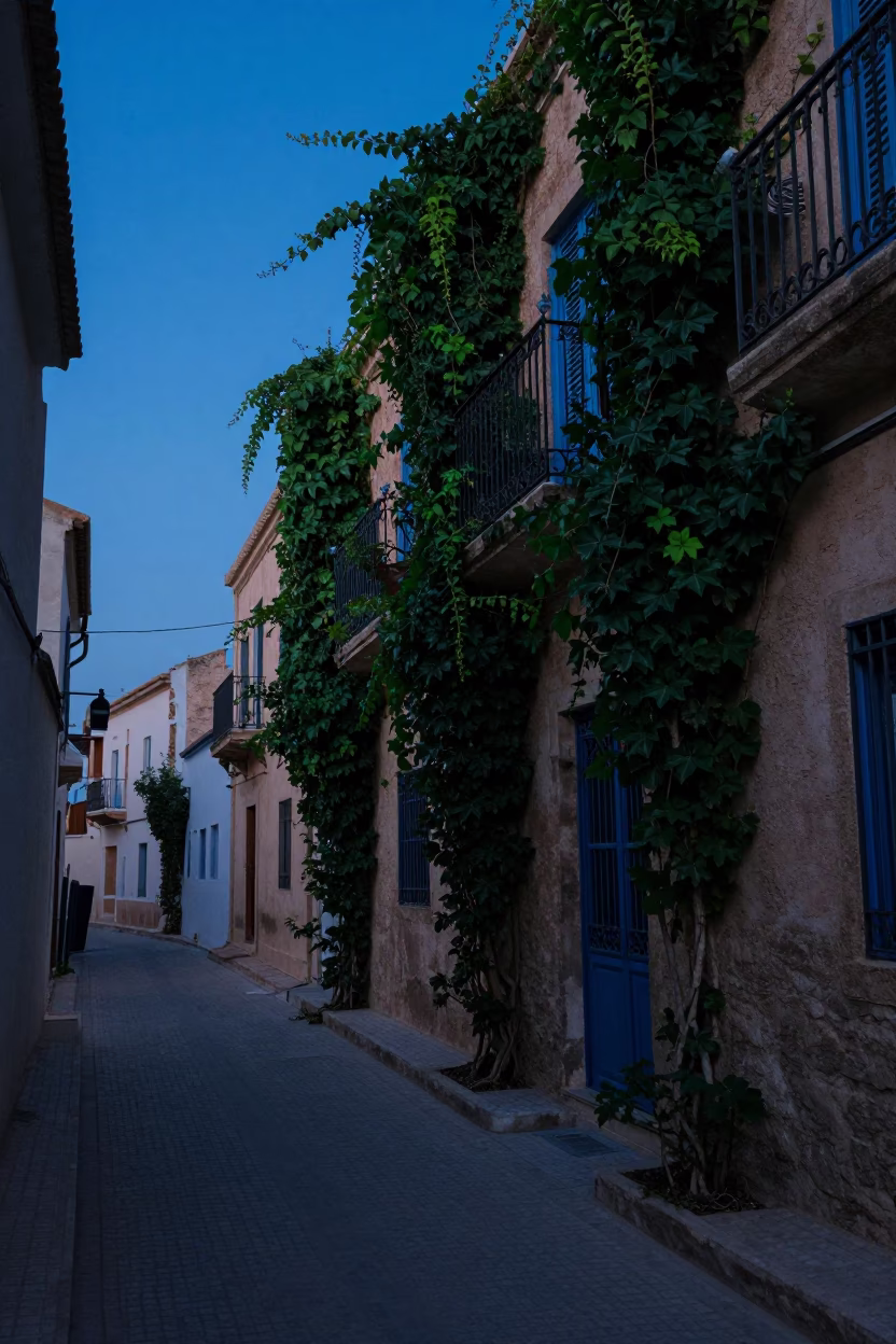 Pre-dawn Tunis street scene with ivy vines and quiet urban architecture in in Tunis, Tunisia