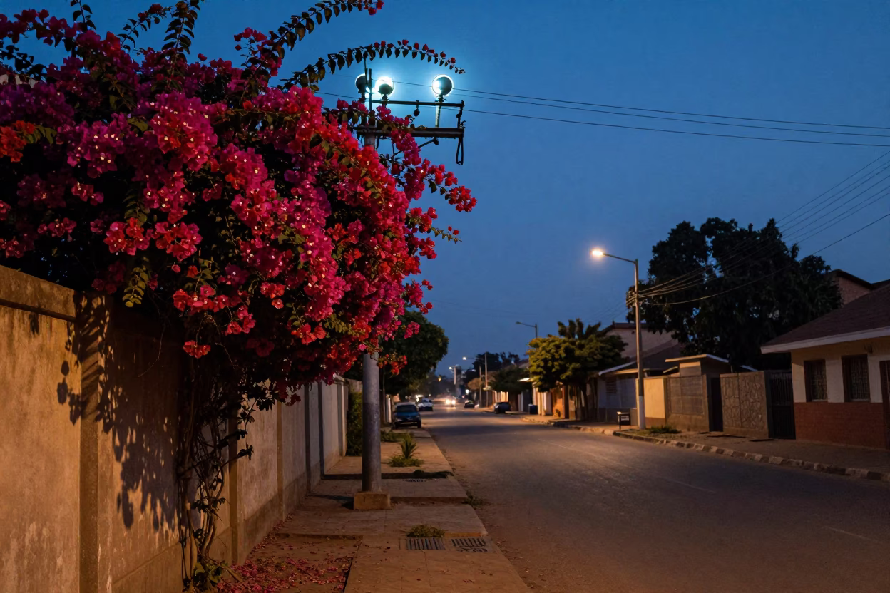 Predawn Accra Street Scene with Bougainvillea and Substation Glow in in Accra, Ghana
