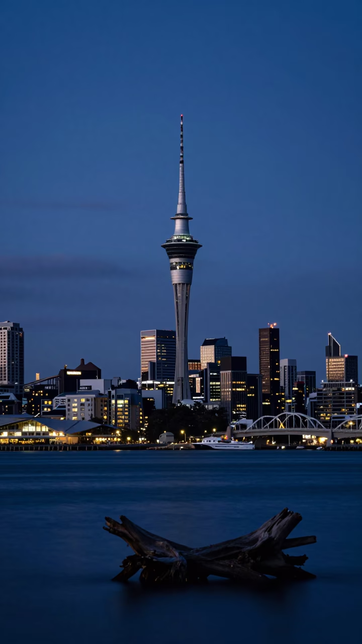 Predawn Auckland Skyline with Harbor Light and Driftwood on Beach in in Auckland, New Zealand