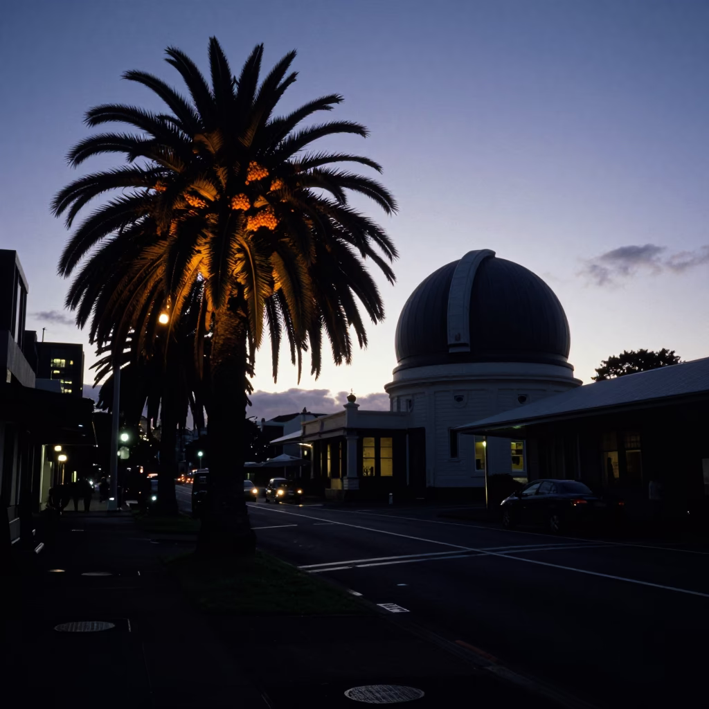 Predawn Auckland Street Scene with Observatory Silhouette and Palm Tree in in Auckland, New Zealand