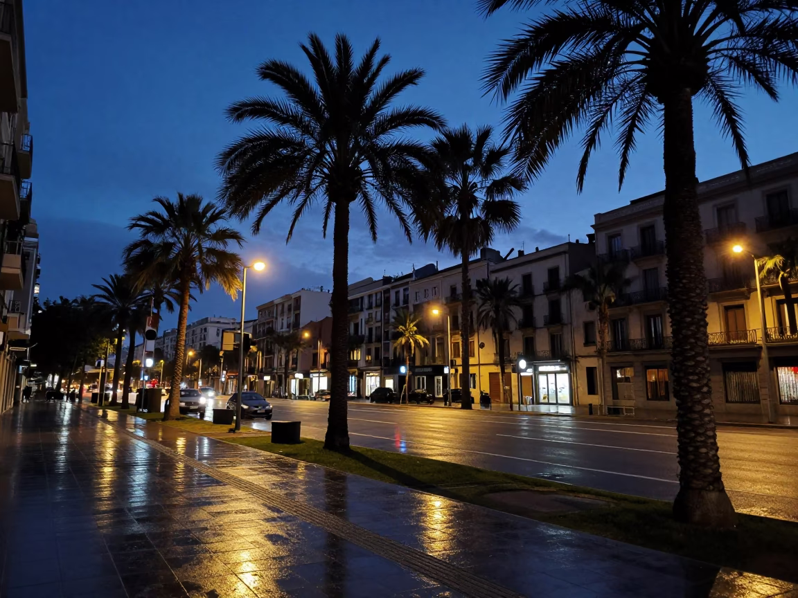 Predawn Barcelona Street Scene with Palm Trees and Urban Shadows in in Barcelona, Spain