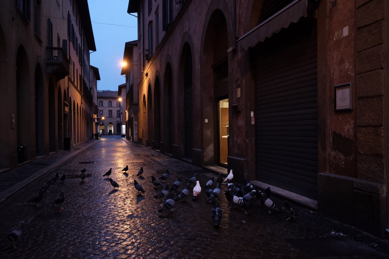 Predawn Bologna Street Scene with Pigeons and Urban Architecture in in Bologna, Italy