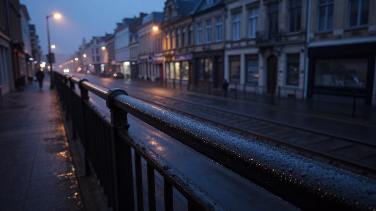 Predawn Brussels Street Scene with Condensation on Rail and Tree in Dark in in Brussels, Belgium