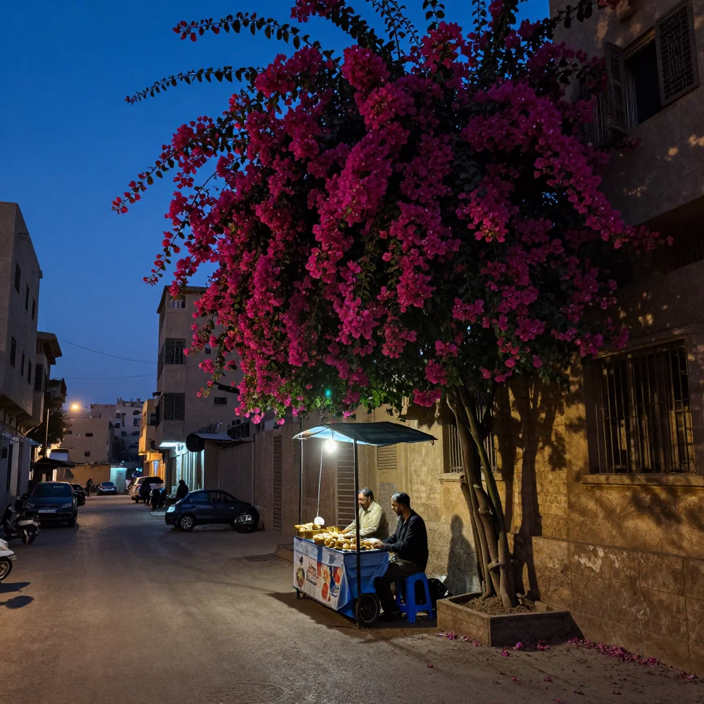 Predawn Cairo street scene with bougainvillea and local vendor preparing for morning in in Cairo, Egypt