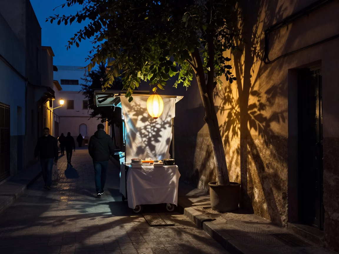Predawn Casablanca Street Scene with Leaf Shadows and Night Blooming Cereus in Morocco in in Casablanca, Morocco
