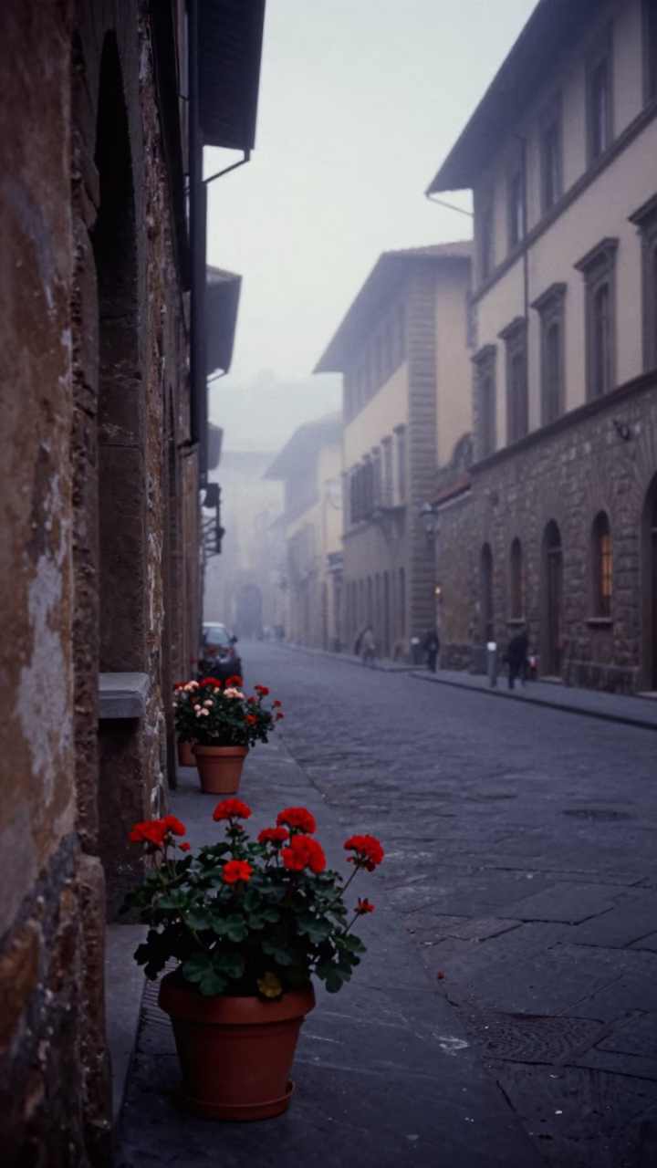 Predawn Florence Italy Street Scene with Potted Geraniums and Misty Architecture in in Florence, Italy