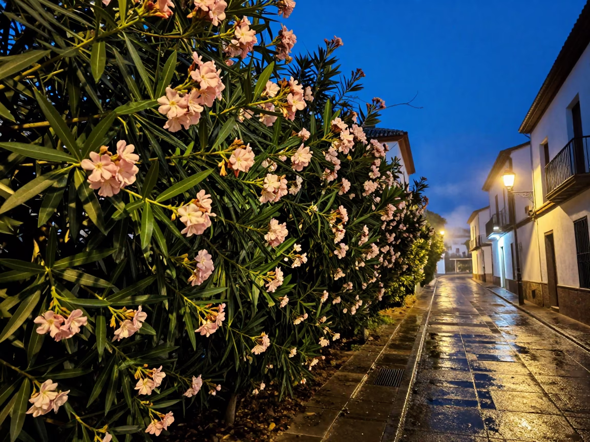 Predawn Granada Spain street scene with oleander hedge and wet pavement in in Granada, Spain
