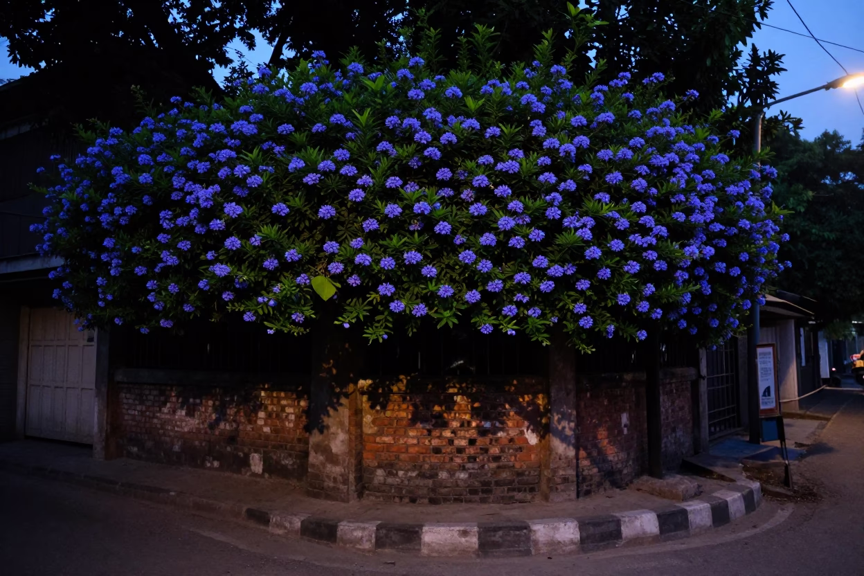 Predawn Kolkata street scene with plumbago hedge and leaf shadows on metal rail in in Kolkata, India
