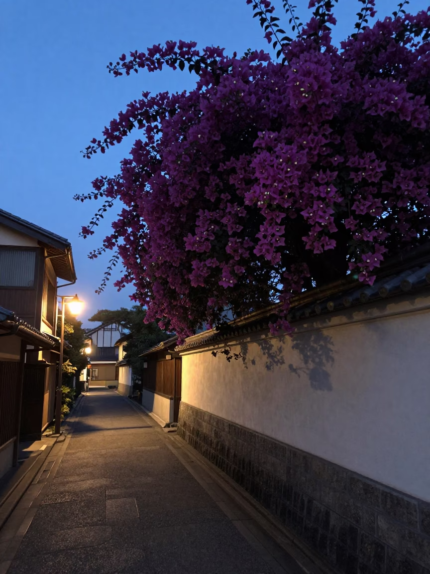 Predawn Kyoto Street Scene with Bougainvillea Cascade and Traditional Architecture in in Kyoto, Japan
