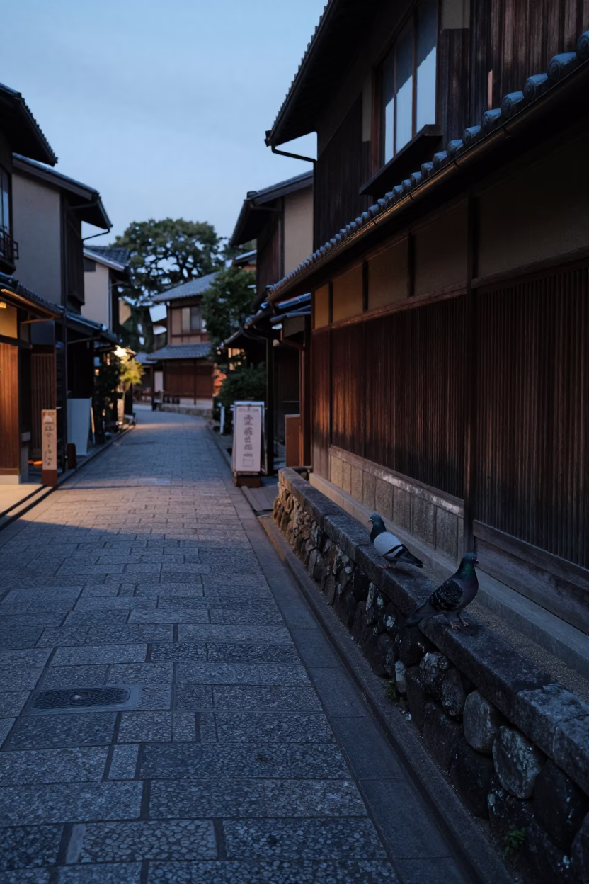 Predawn Kyoto Street Scene with Pigeons and Latch on Wooden Door in in Kyoto, Japan