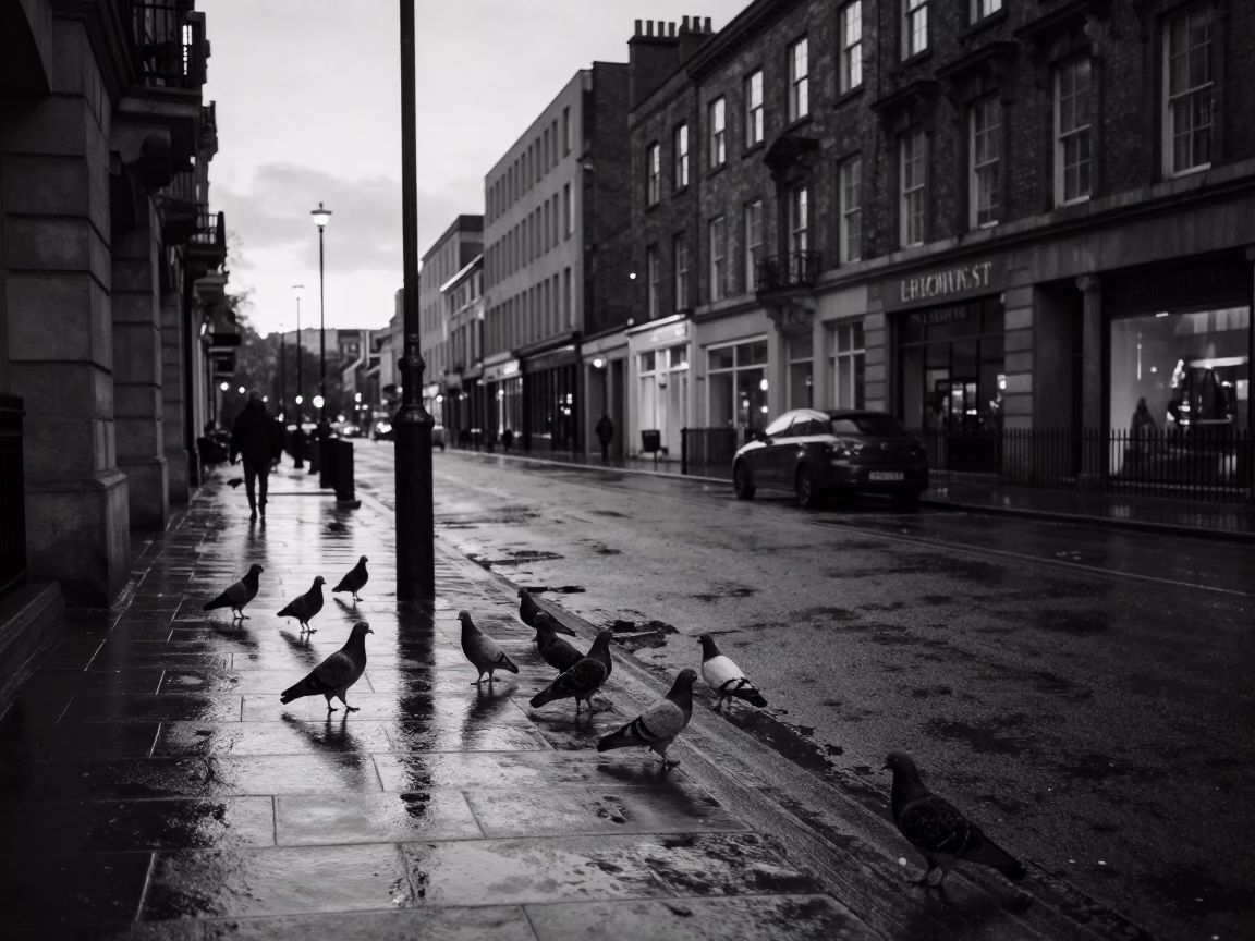 Predawn Liverpool Street Scene with Pigeons and Wet Pavement Reflections in in Liverpool, United Kingdom