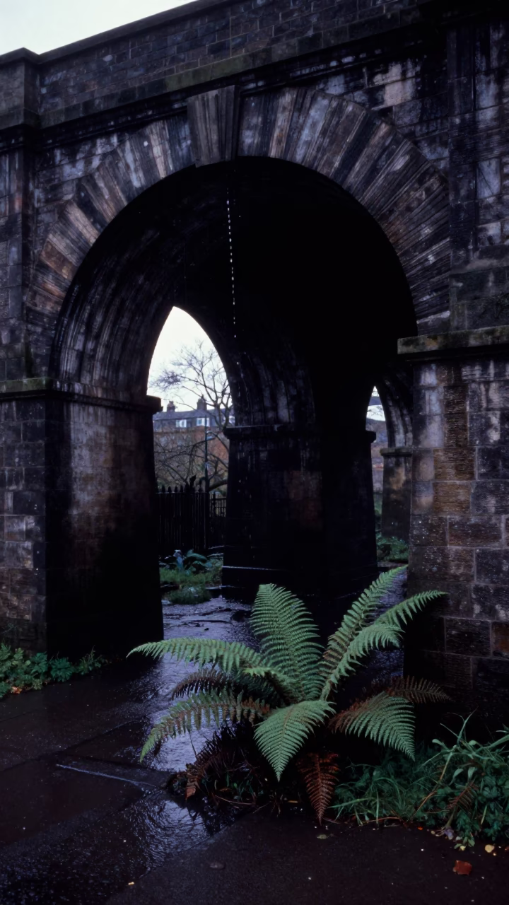 Predawn Liverpool Viaduct Arch Undercroft Dripping Water onto Ferny Stone in 1970s UK in in Liverpool, United Kingdom