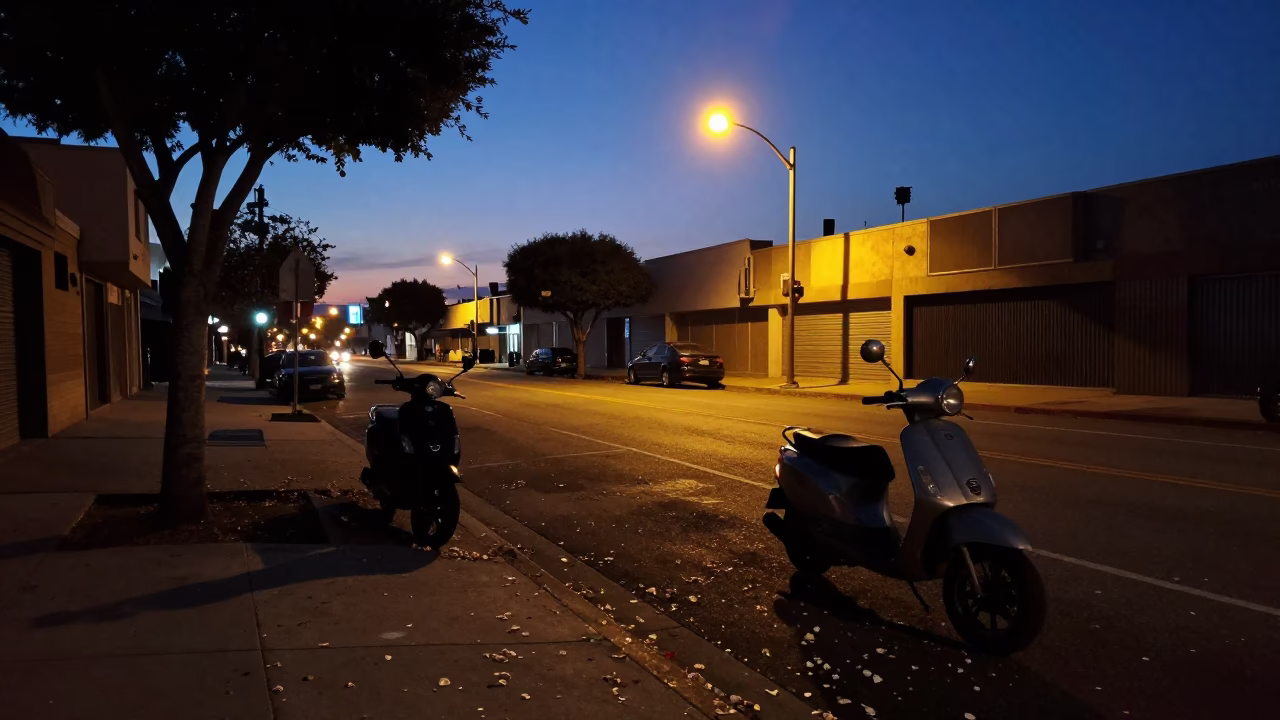 Predawn Los Angeles Street Scene with Scooter and Fallen Petals in in Los Angeles, California, United States
