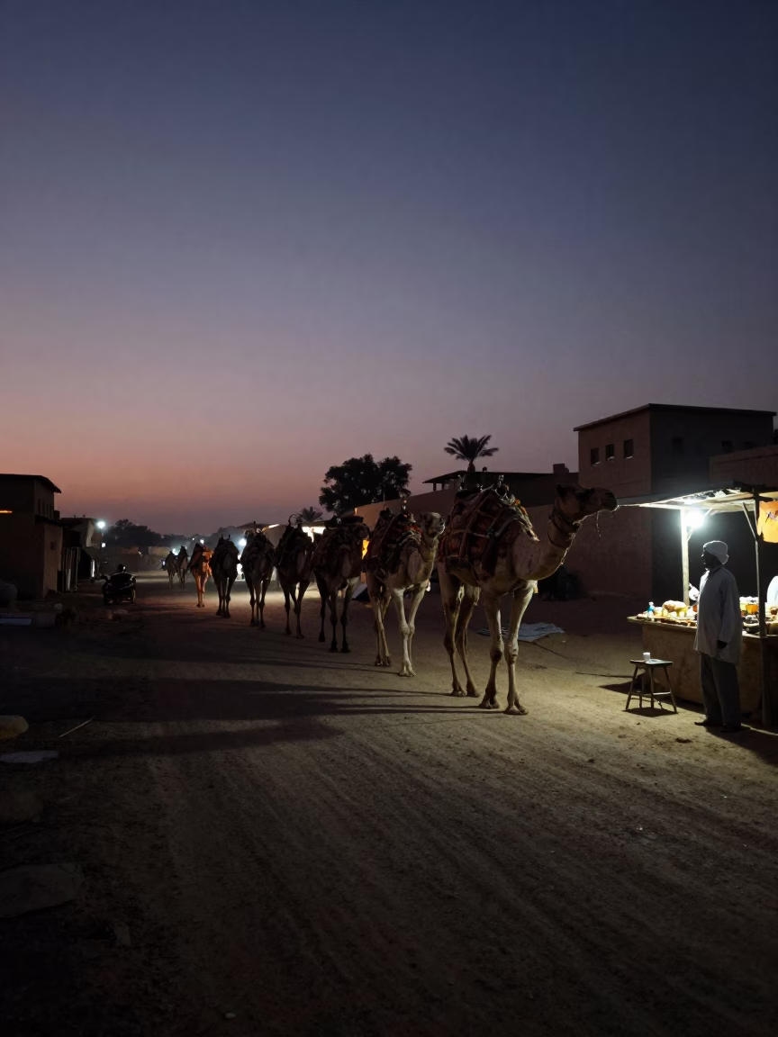 Predawn Luxor Street Scene with Camel Caravan and Local Vendor in in Luxor, Egypt