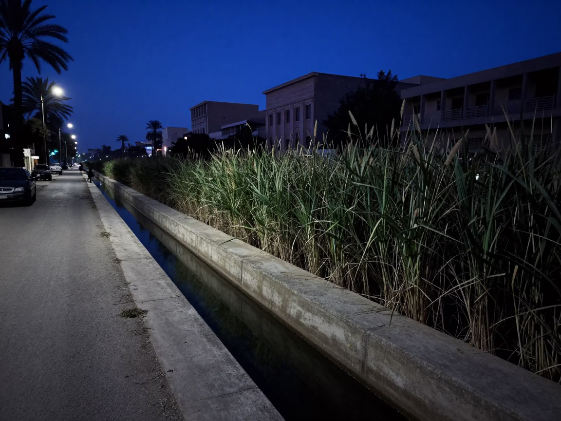 Predawn Luxor Street Scene with Concrete Canal and Reeds in Egypt in in Luxor, Egypt