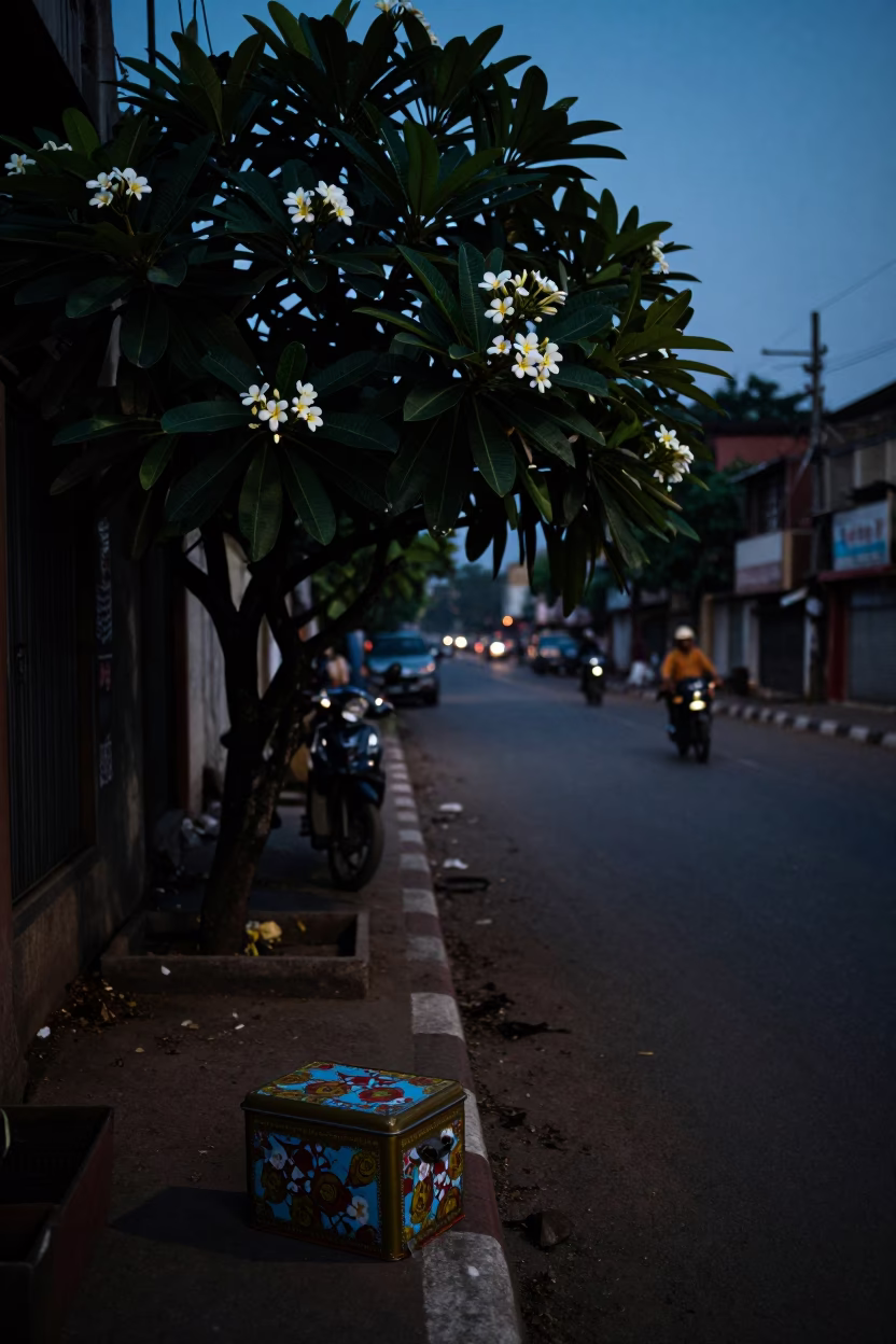 Predawn Mumbai Street Scene with Tin Box and Frangipani Tree in in Mumbai, India