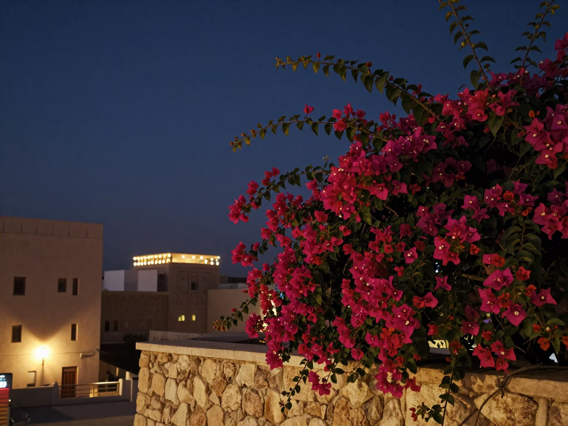 Predawn Muscat Oman Cityscape with Bougainvillea and String Lights in in Muscat, Oman