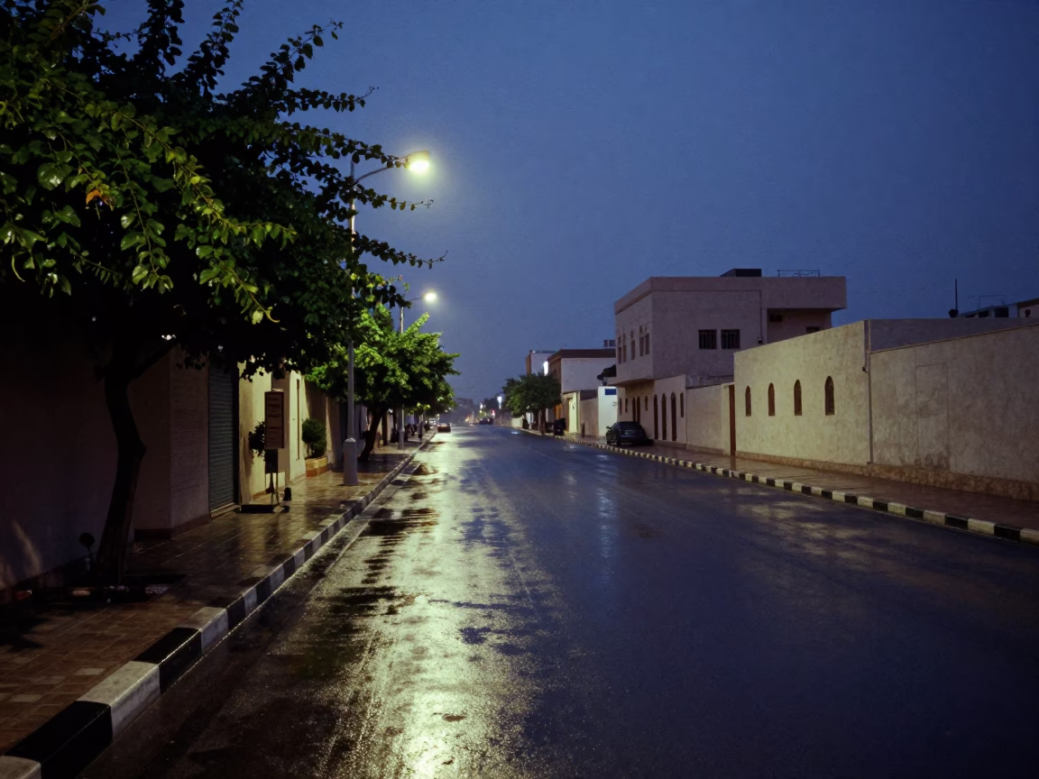 Predawn Muscat Street Scene with Wet Asphalt and Vine Leaves in in Muscat, Oman