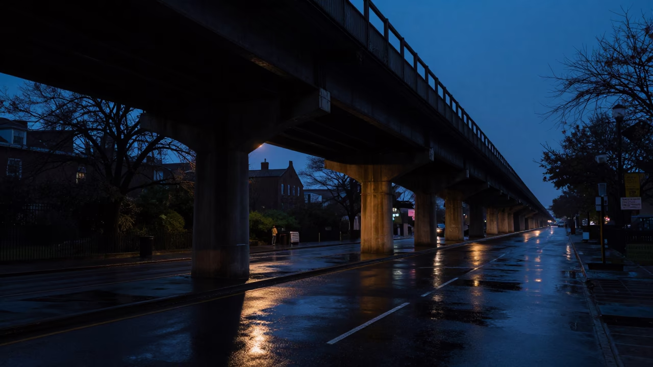 Predawn New Orleans Viaduct Shadow Cutting Across Rain-Slicked Gardens in in New Orleans, Louisiana, United States