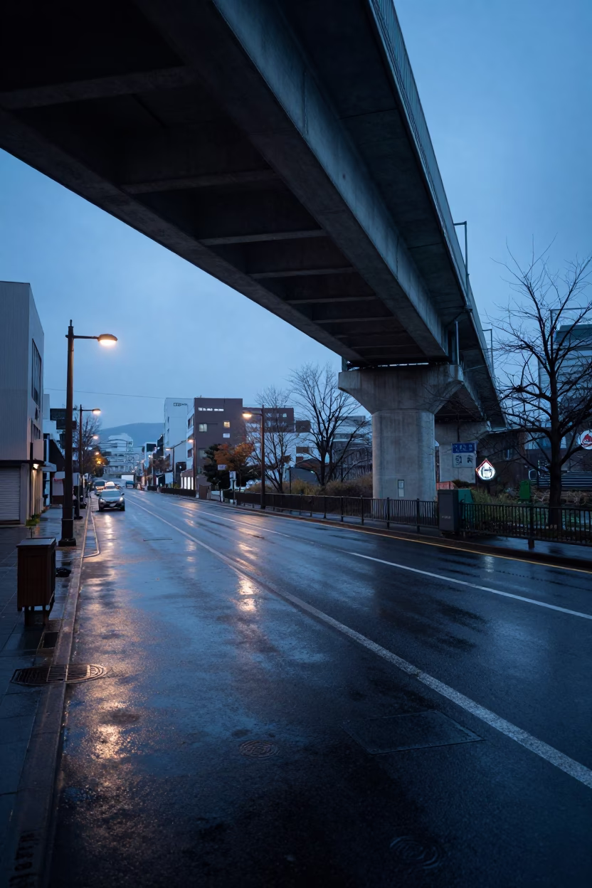 Predawn Sapporo Street Scene with Viaduct Shadow and Allotment Gardens After Rain in in Sapporo, Japan