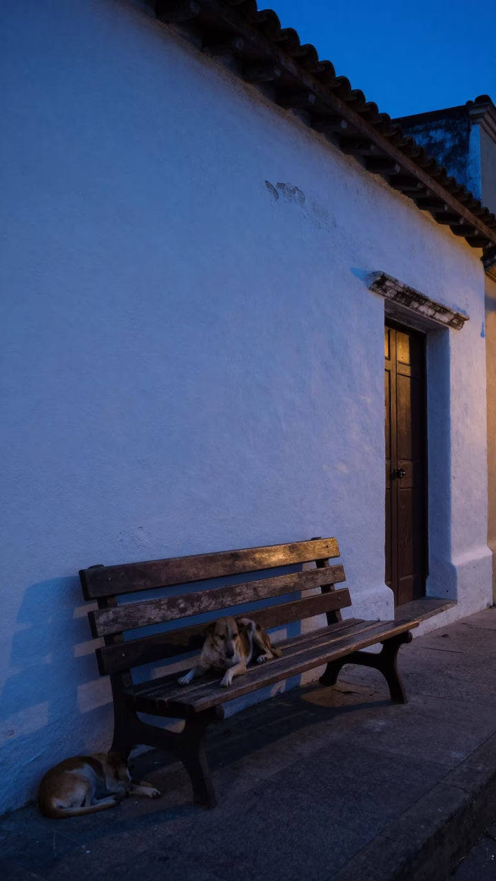 Predawn Street Scene in Cartagena Colombia with Park Bench and Blue Porcelain in in Cartagena, Colombia