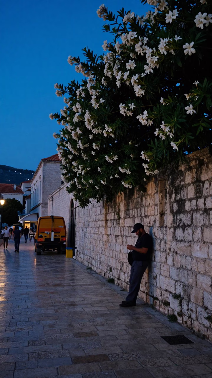 Predawn Street Scene in Dubrovnik Croatia with Oleander Hedge and Work Gloves in in Dubrovnik, Croatia