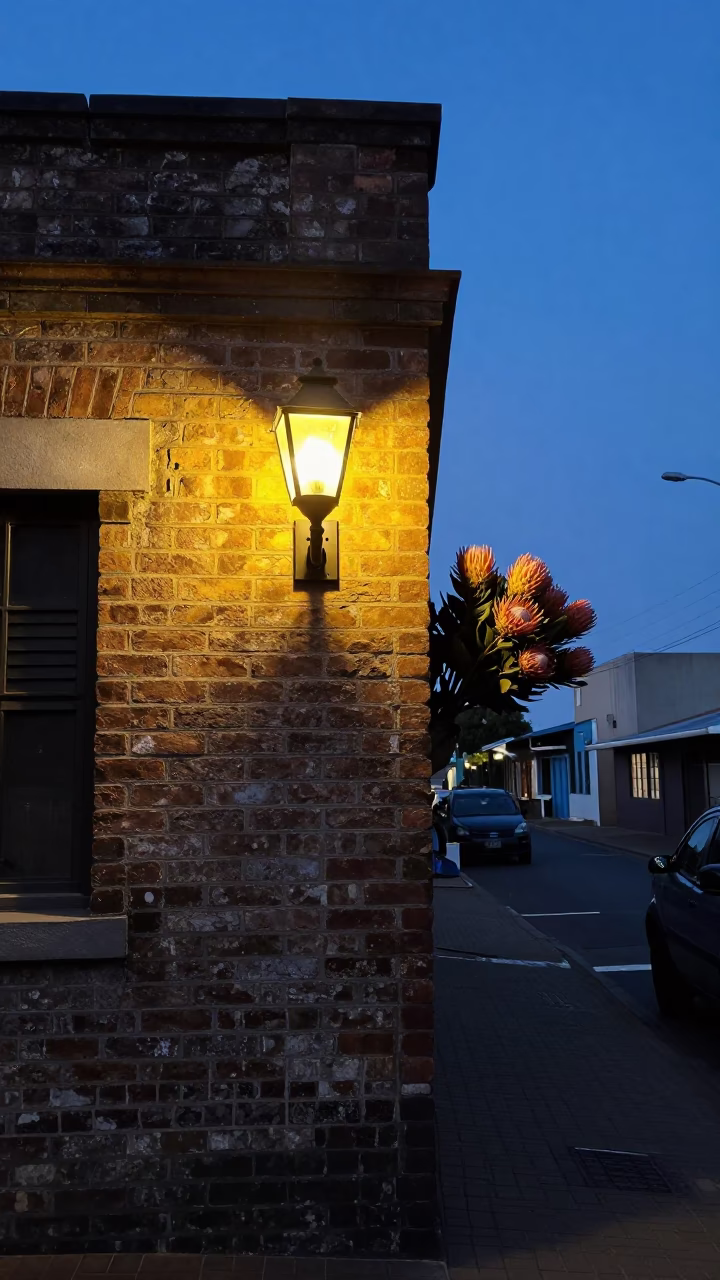 Predawn Street Scene in Durban South Africa with Wall Sconce and Protea Bush in in Durban, South Africa