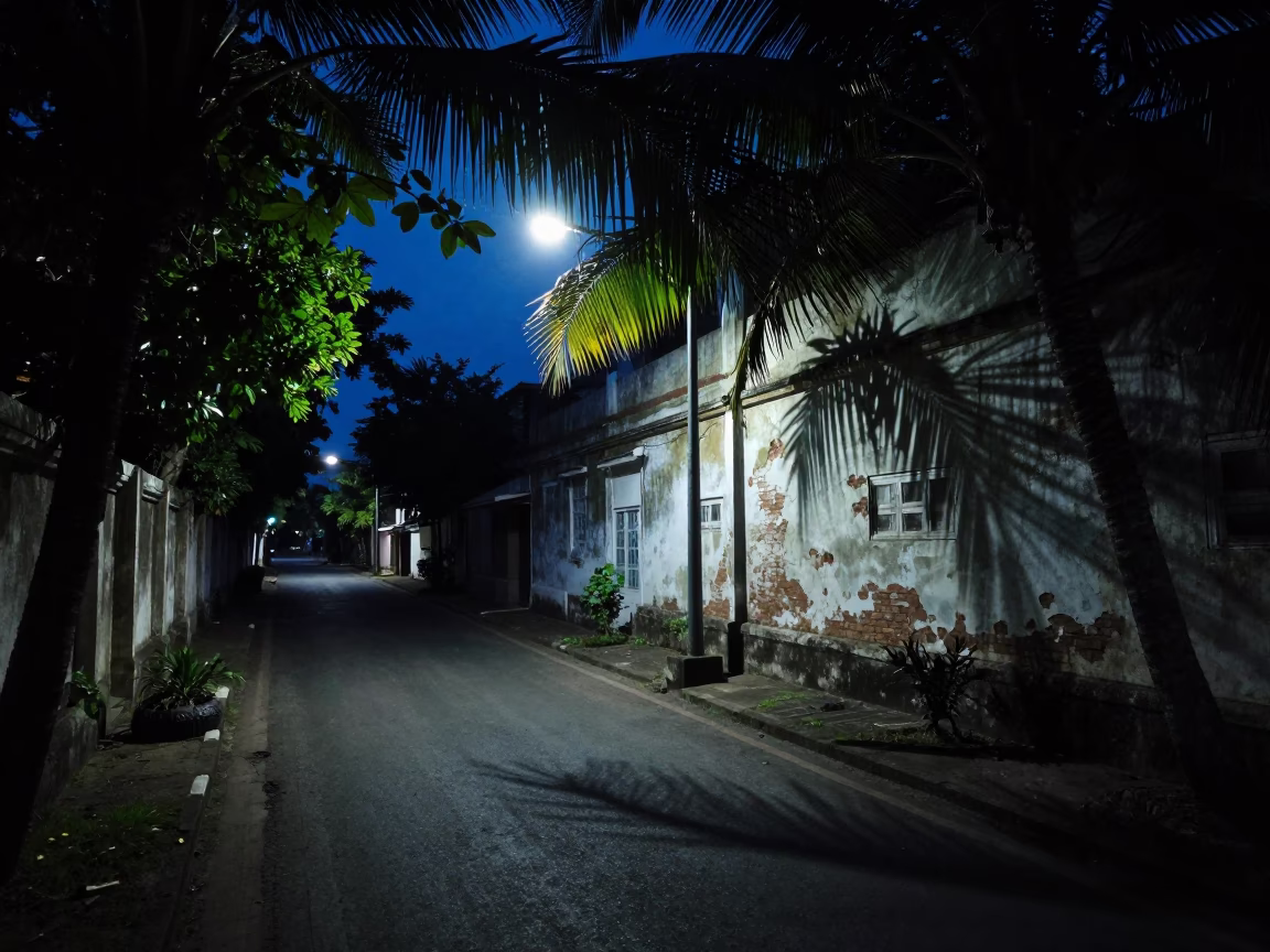 Predawn Street Scene in Kochi India with Leaf Shadows and Marine Station in in Kochi, India