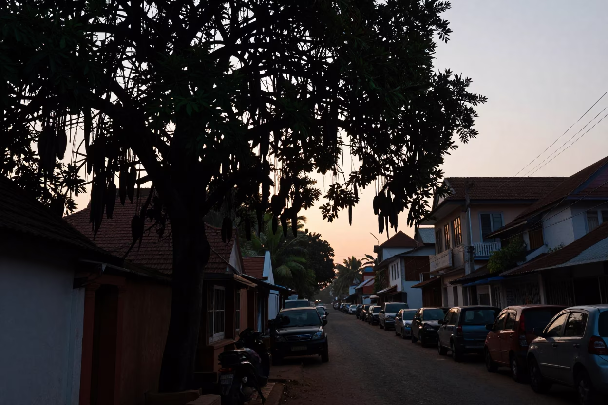 Predawn Street Scene in Kochi India with Tamarind Tree and Sardines in in Kochi, India