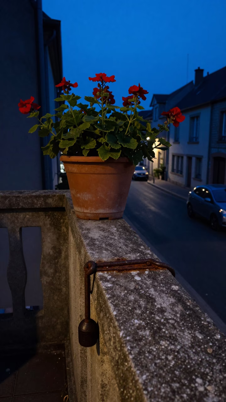 Predawn Street Scene in Nice France with Flowerpot and Turnbuckle Detail in in Nice, France